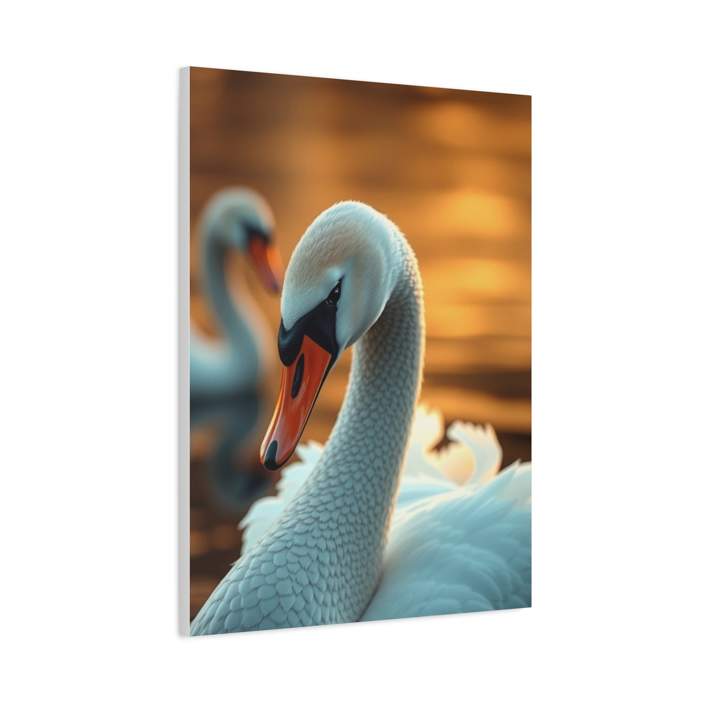 Swan Art Canvas Art 2 Wall Art & Canvas Print