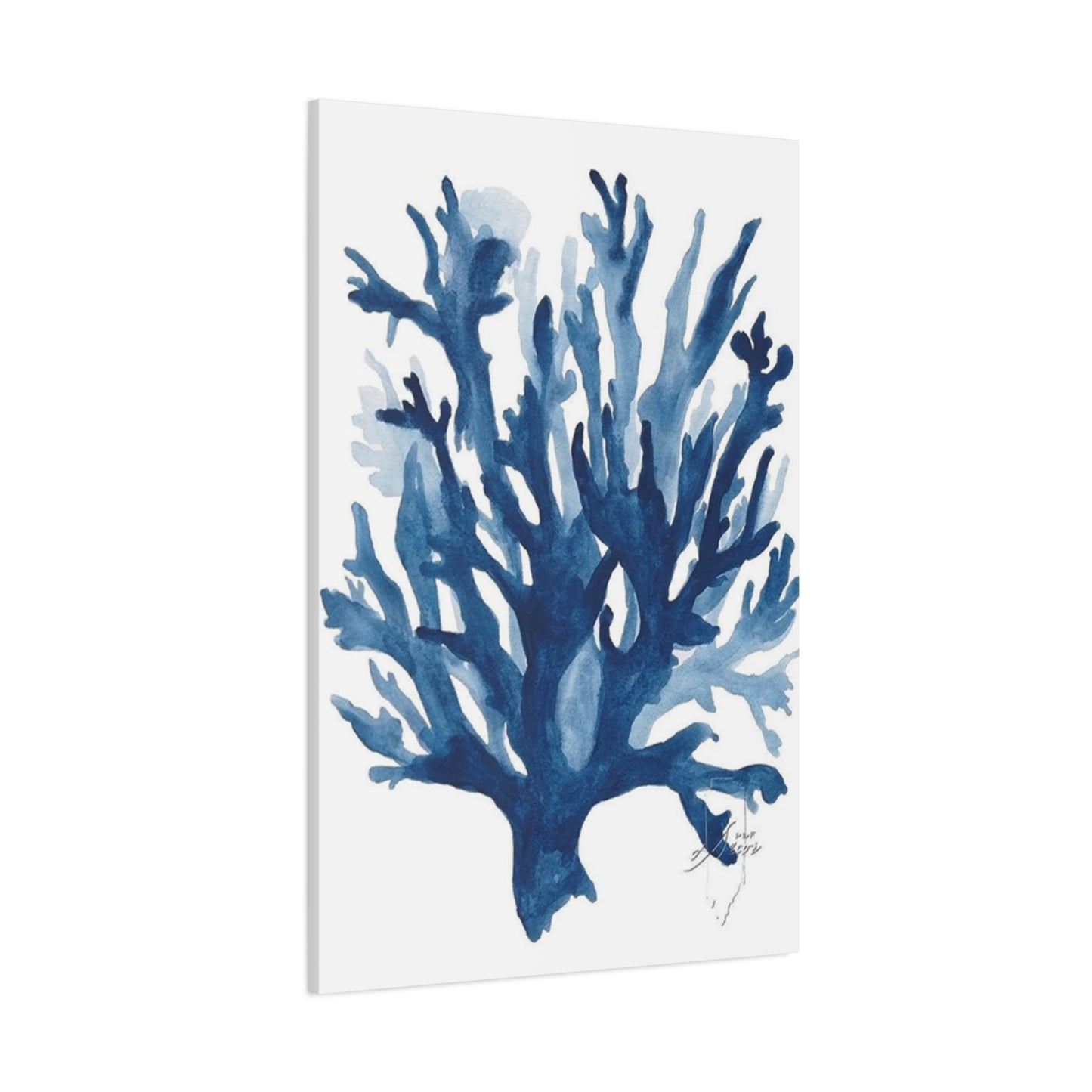 Amazing Sea Shells Stems Poster Wall Art & Canvas Prints