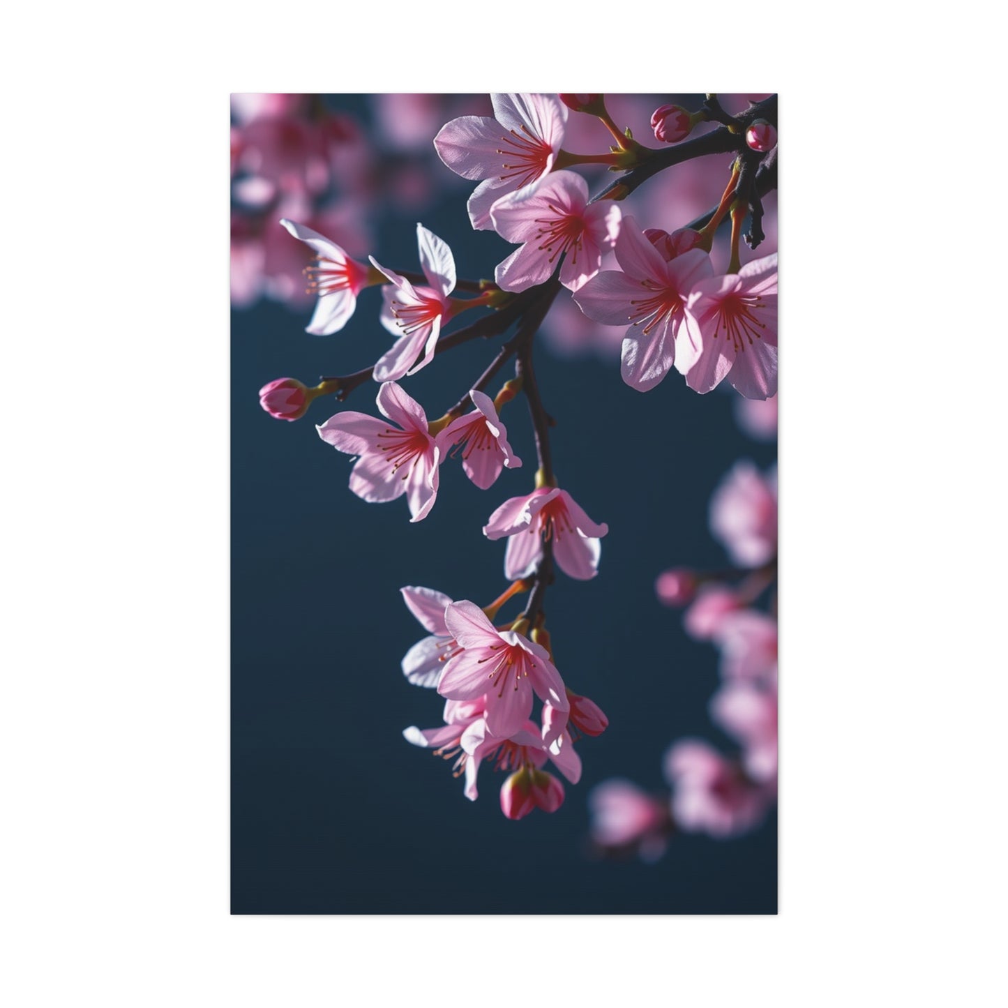 Ethereal Bloom Panorama