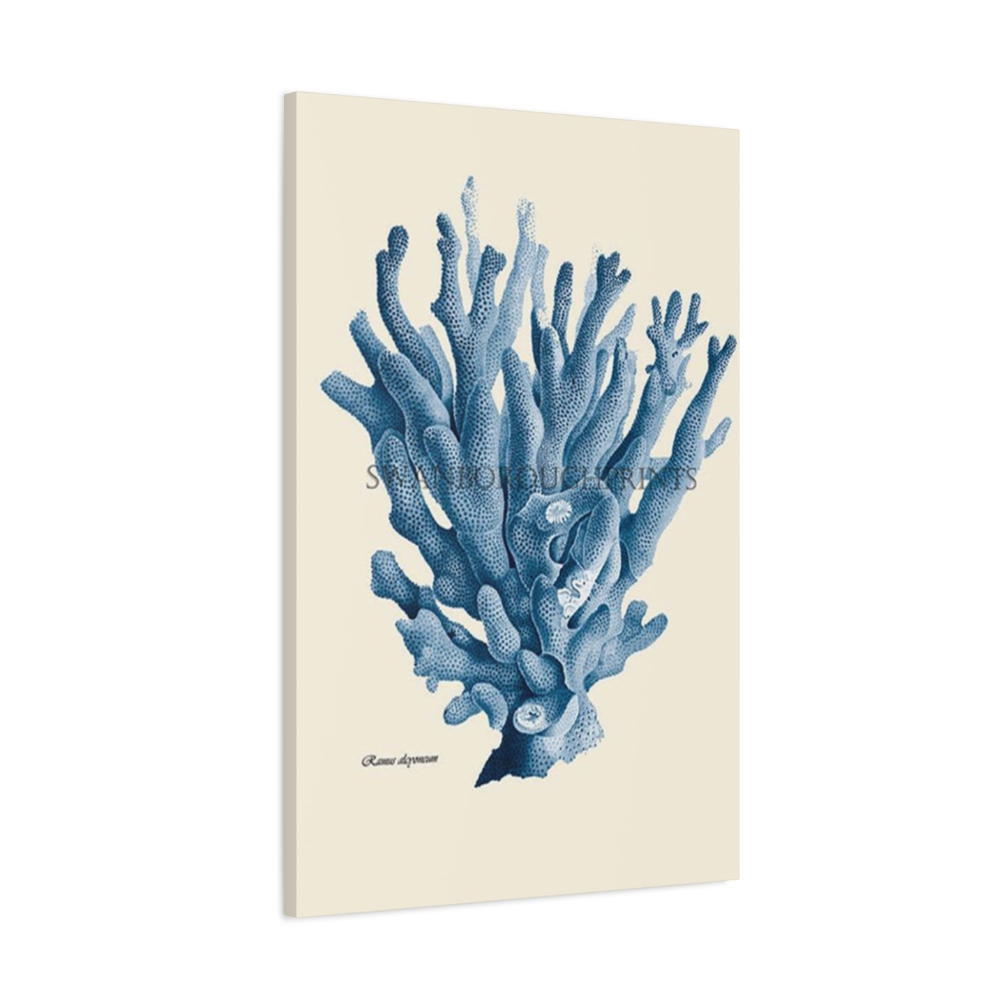 Beautiful Blue Shell Stem Poster Wall Art & Canvas Prints