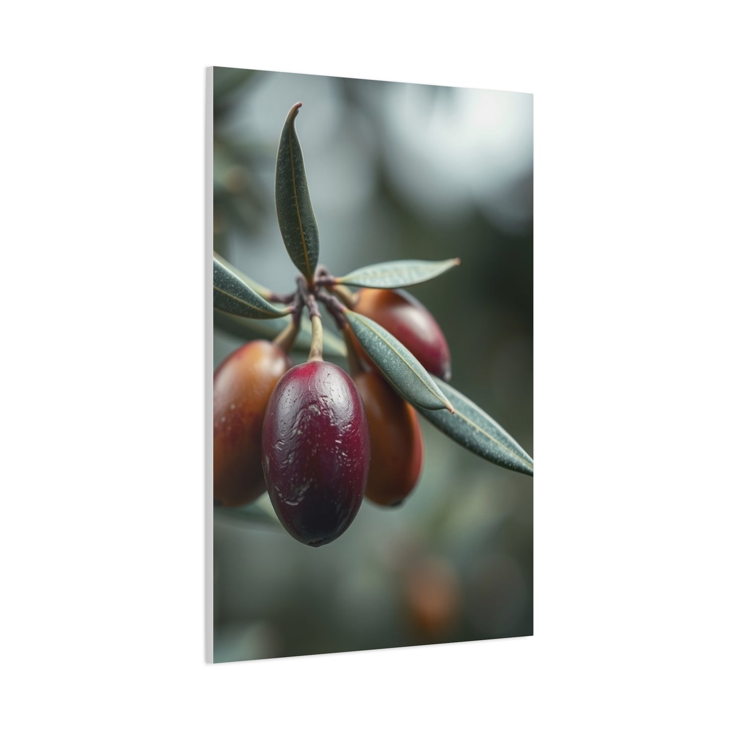 Olive Tranquility Tableau Wall Art & Canvas Print