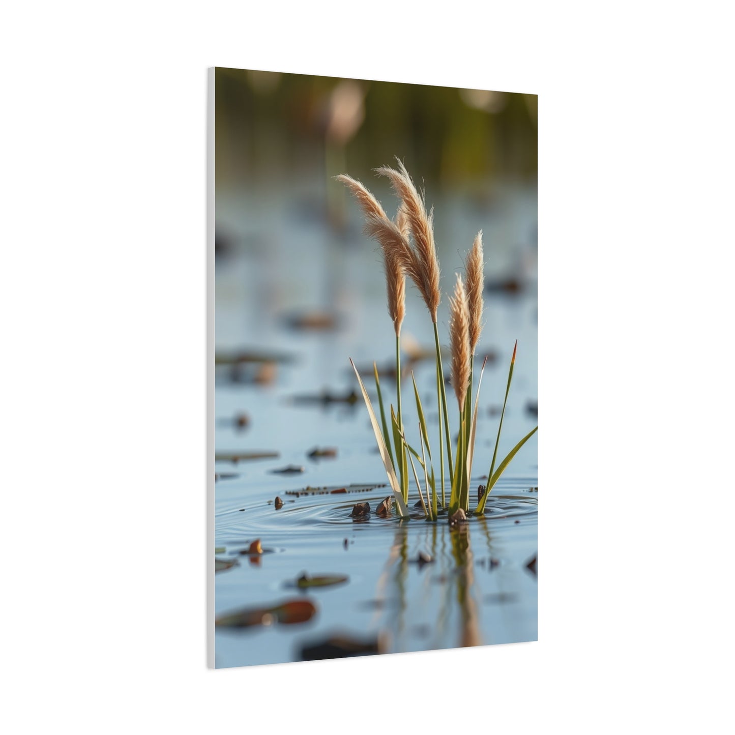 Marsh & Swamp Art Canvas Art 5 Wall Art & Canvas Print