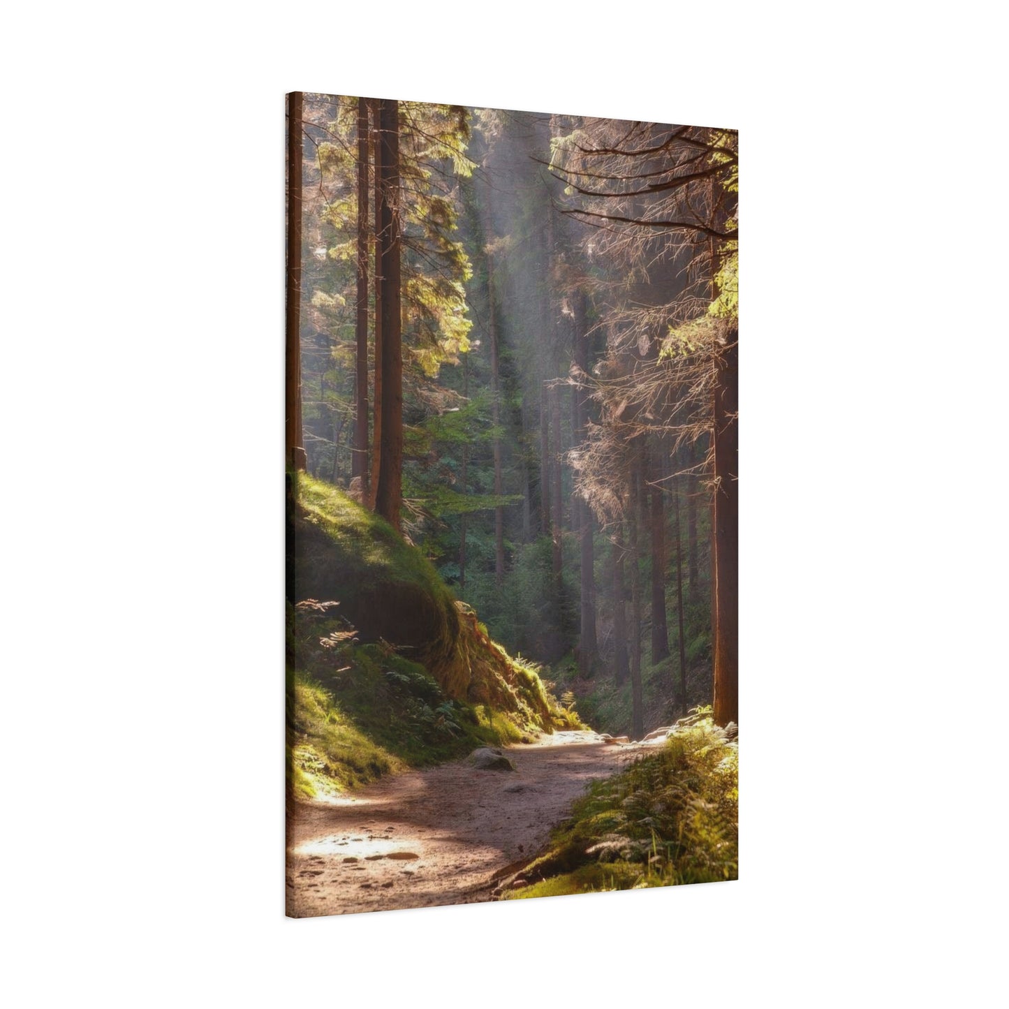 Autumn Forest Path Wall Art & Canvas Prints