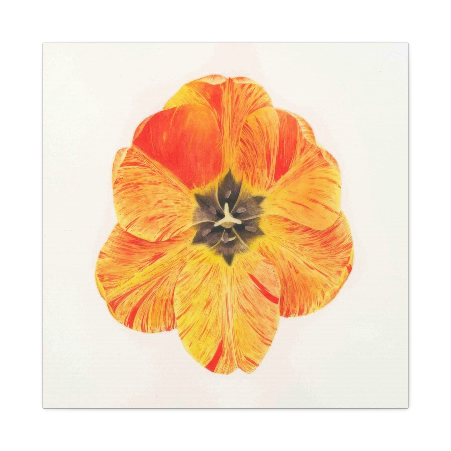 Grace Popp Orange Flower Head Wall Art & Canvas Prints
