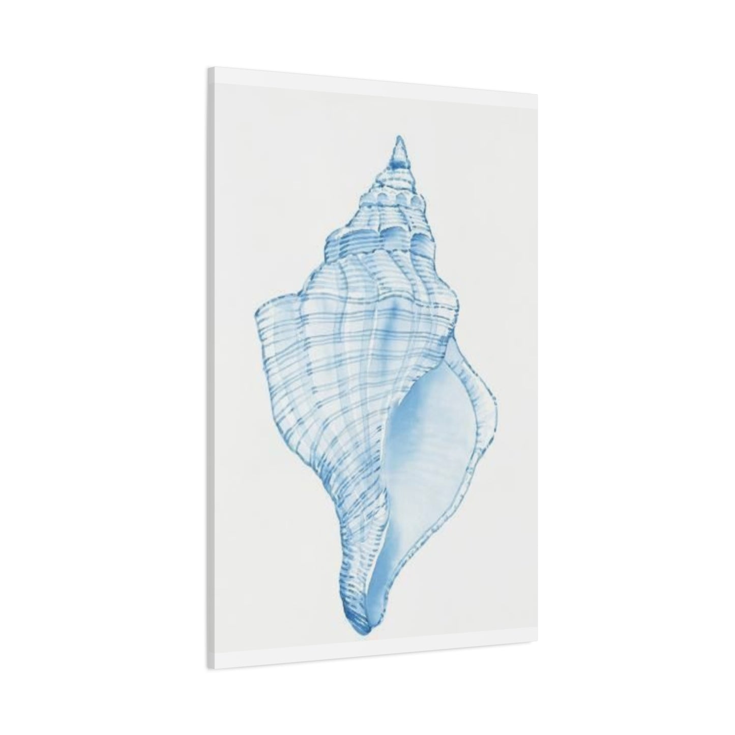 Blue Shell Drawing Wall Art & Canvas Prints