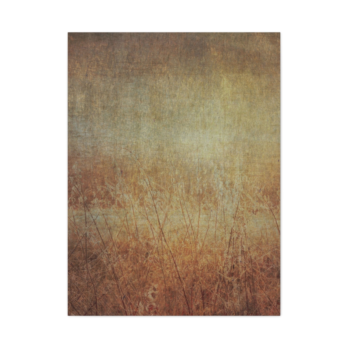 Golden Fields Wall Art & Canvas Prints