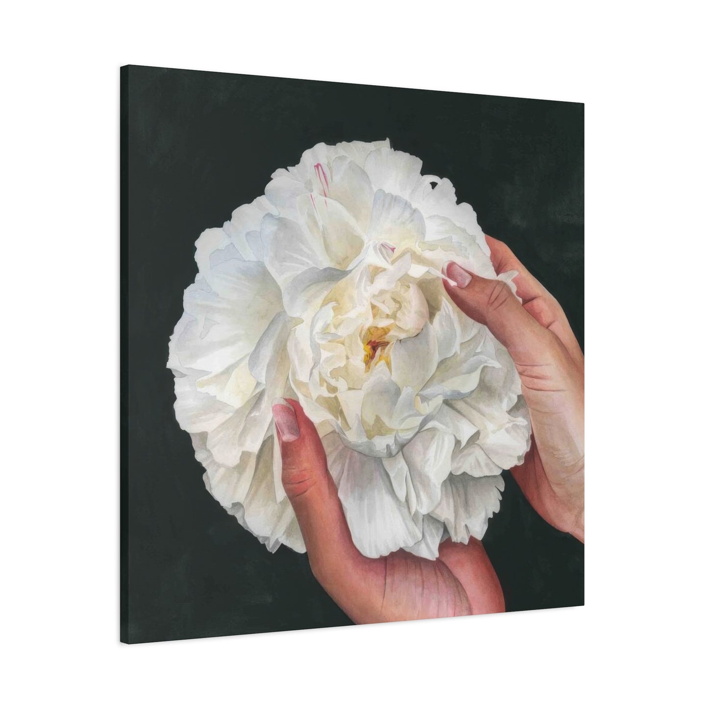 Grace Popp Holding White Flower Wall Art & Canvas Prints