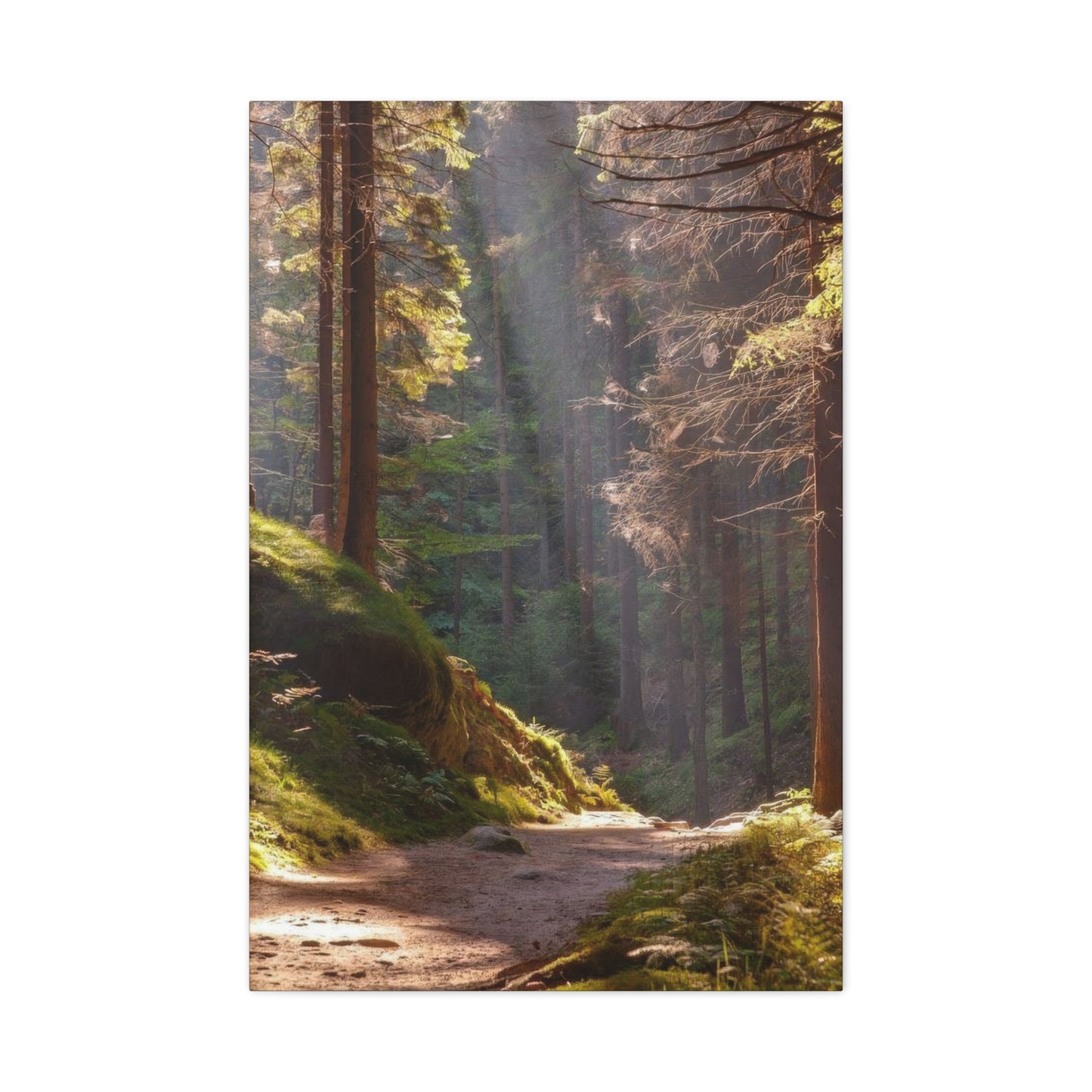 Autumn Forest Path Wall Art & Canvas Prints