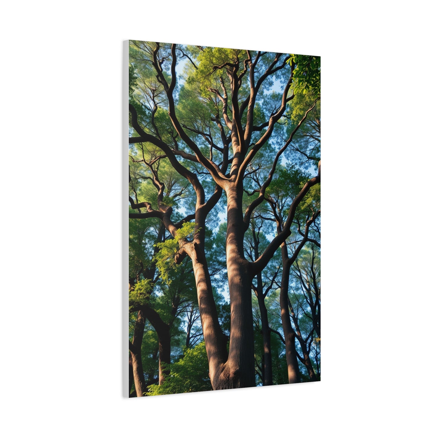 Gilded Forest Impression Wall Art & Canvas Print