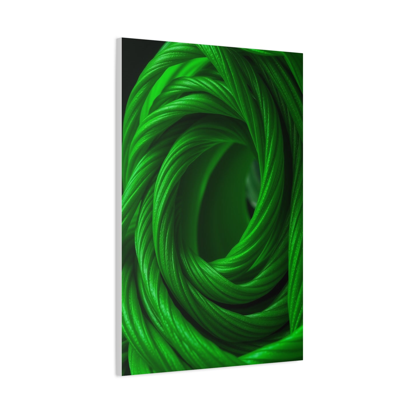 Moss Luxe Art Display Wall Art & Canvas Print