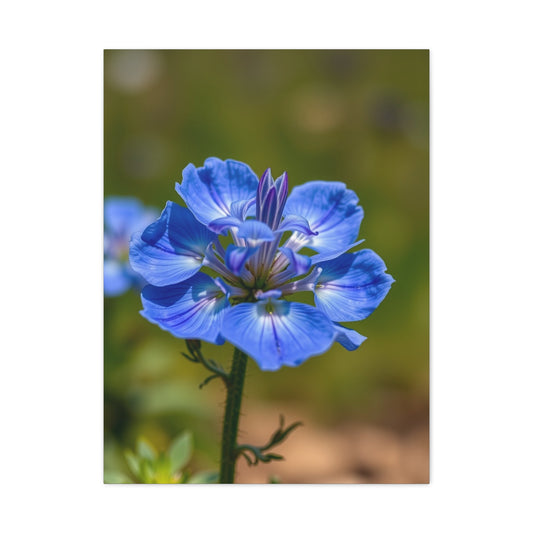 Supreme Bluebonnet Flower Art Collection Wall Art & Canvas Print