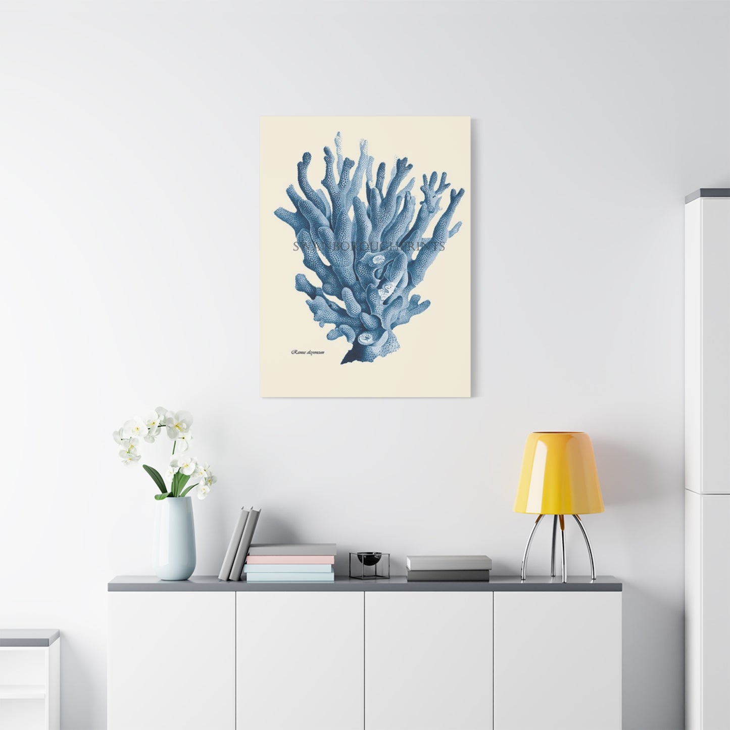 Beautiful Blue Shell Stem Poster Wall Art & Canvas Prints