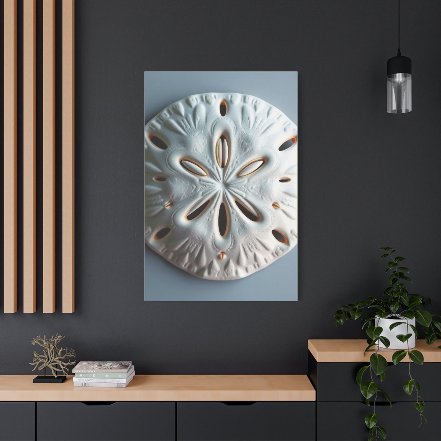 Supreme Sand Dollar Art Beautiful Collection Wall Art & Canvas Print