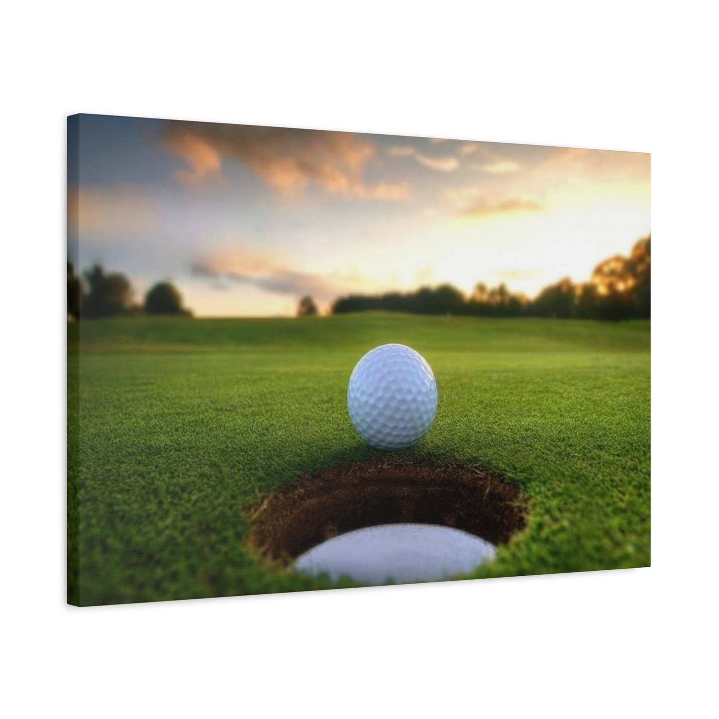 Golf Ball Cup Closeup Wall Art & Canvas Prints