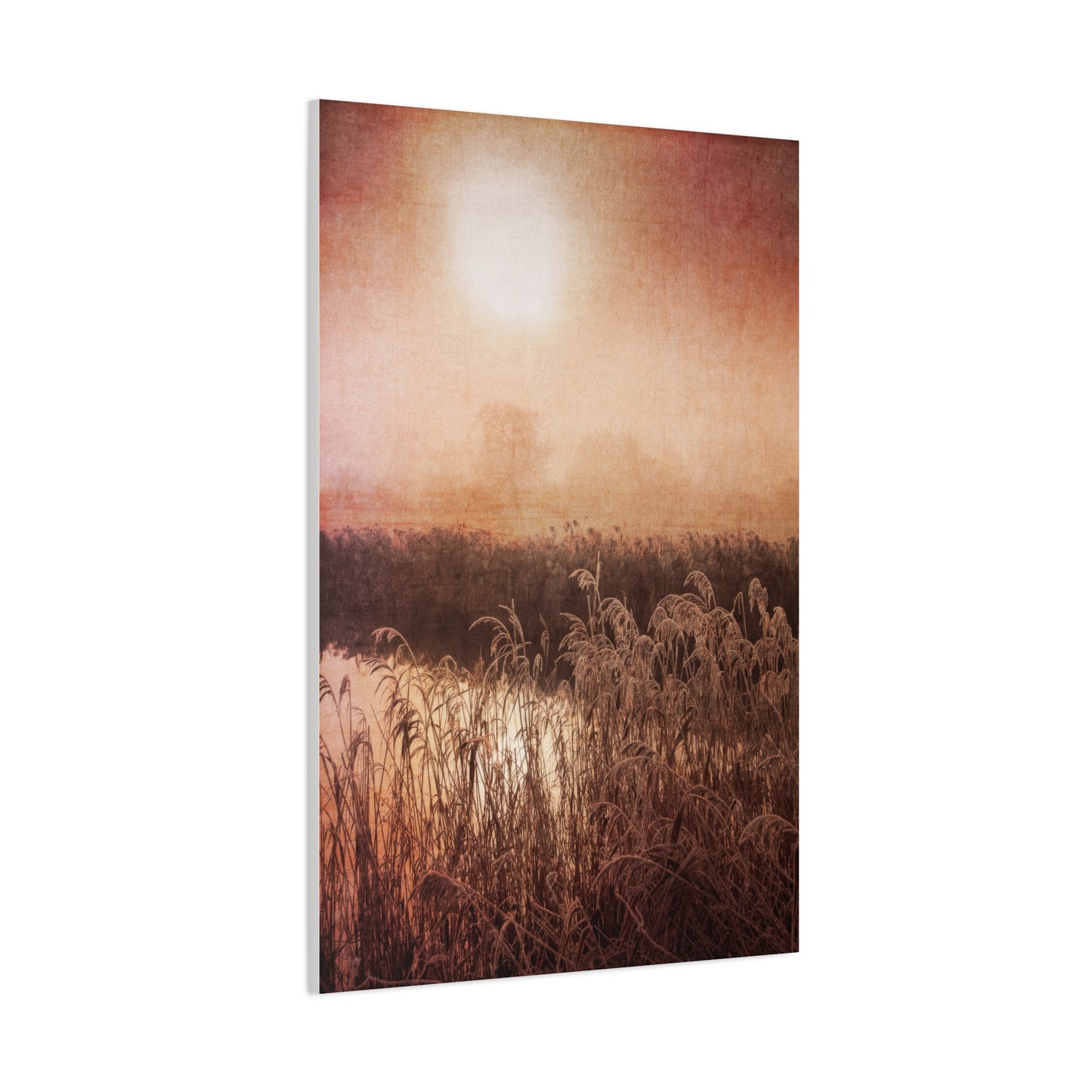 Golden Hour Marsh Wall Art & Canvas Prints