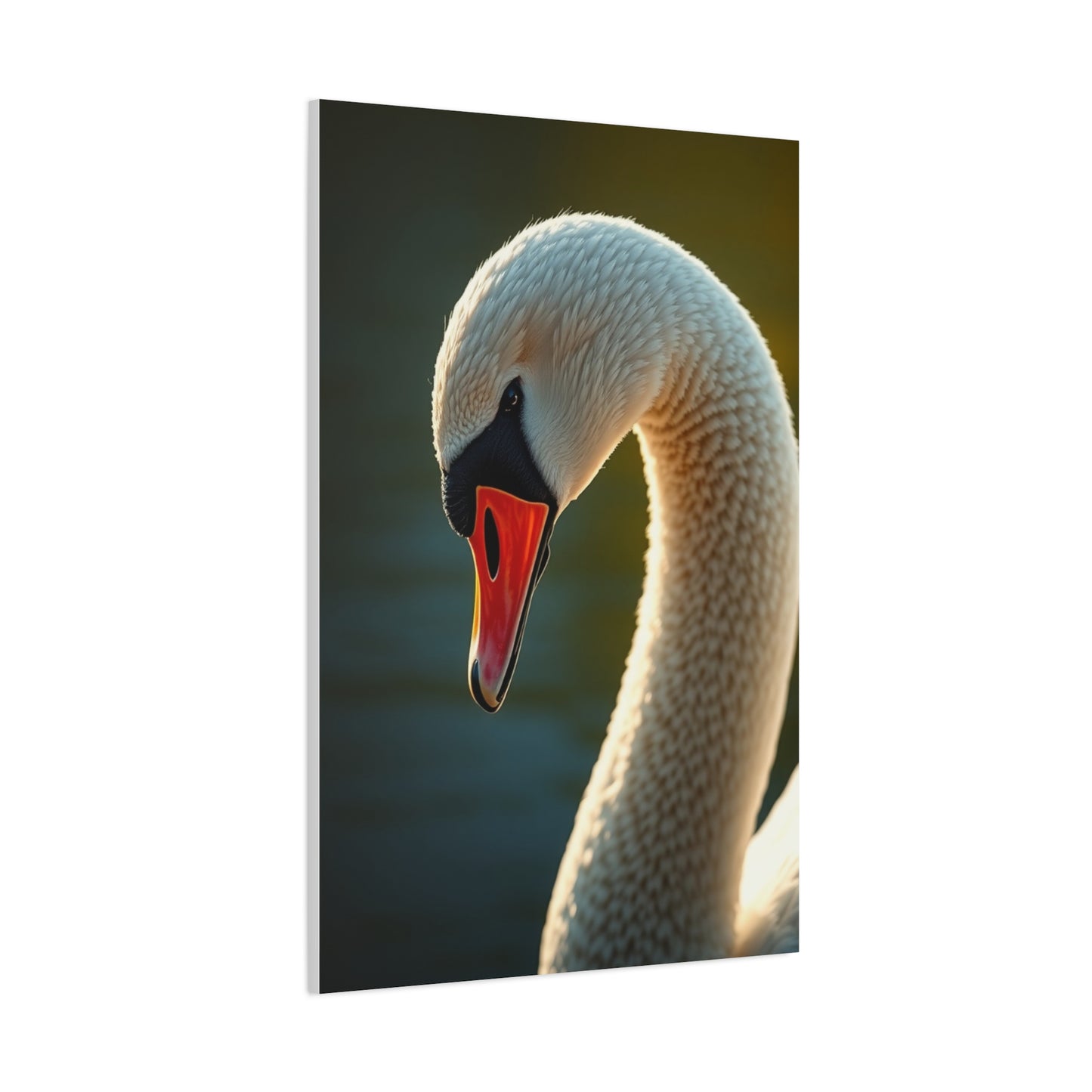 Swan Art Canvas Art 1 Wall Art & Canvas Print