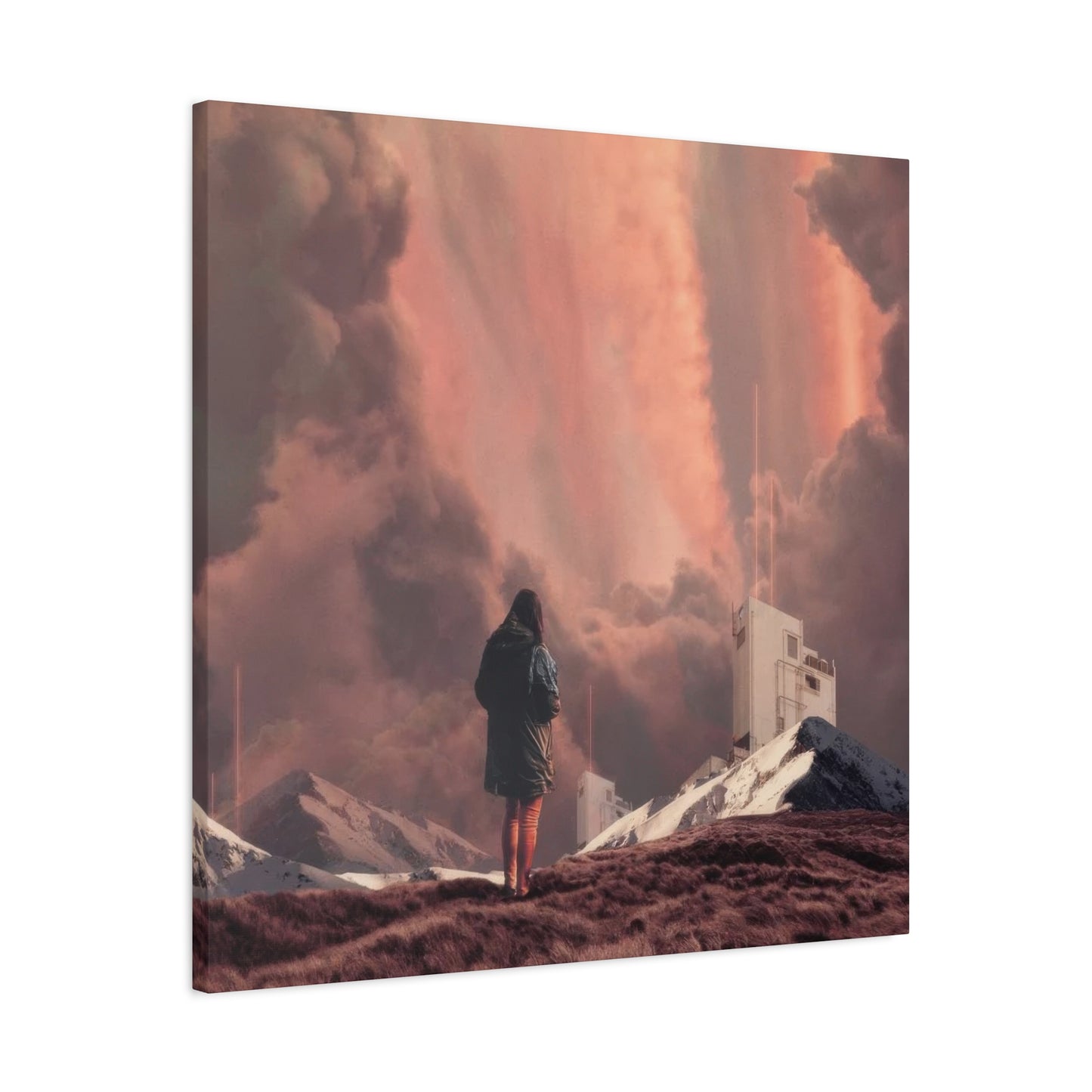 Frank Moth Epiphany Wall Art & Canvas Prints