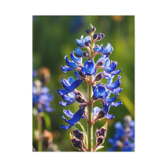 Collection Bluebonnet Flower Art Art Wall Art & Canvas Print