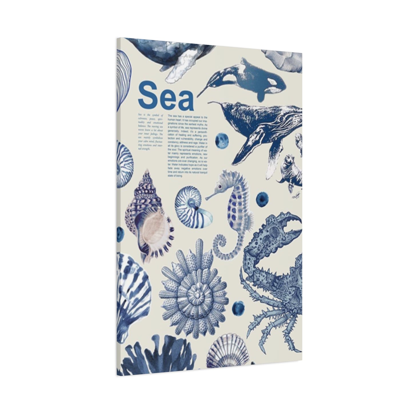 Beautiful Sea Creatures Poster Wall Art & Canvas Prints