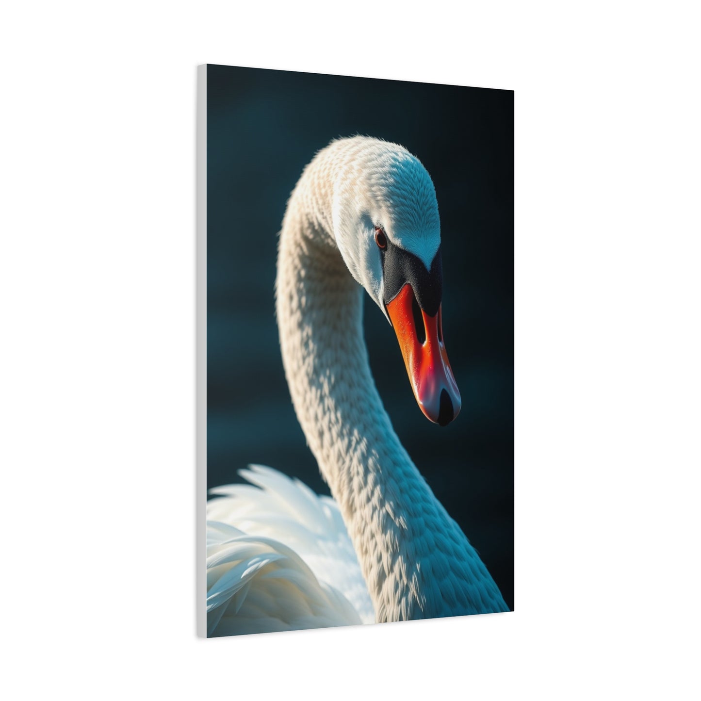 Swan Art Canvas Art 8 Wall Art & Canvas Print