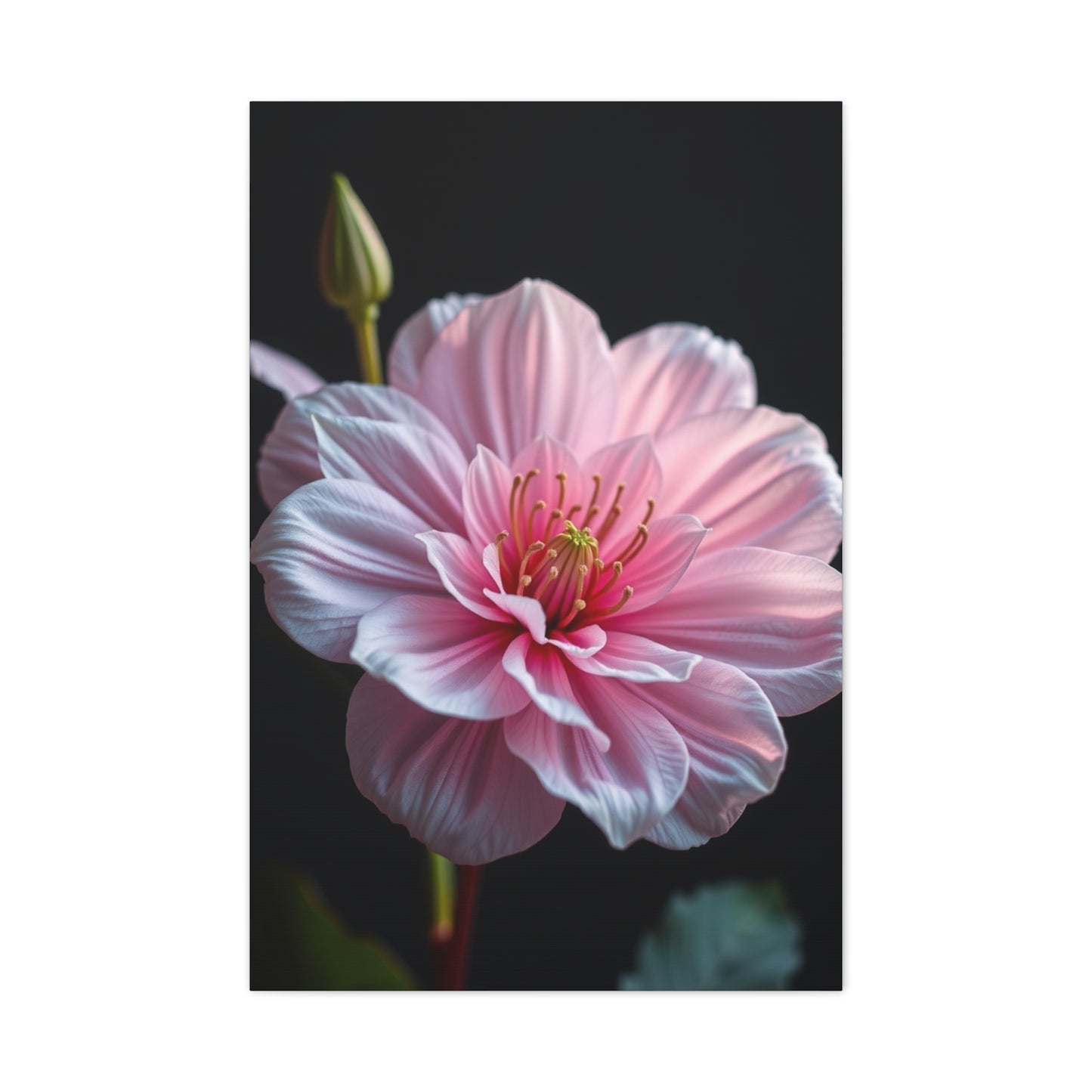 Aesthetic Flora Canvas Wall Art & Canvas Print