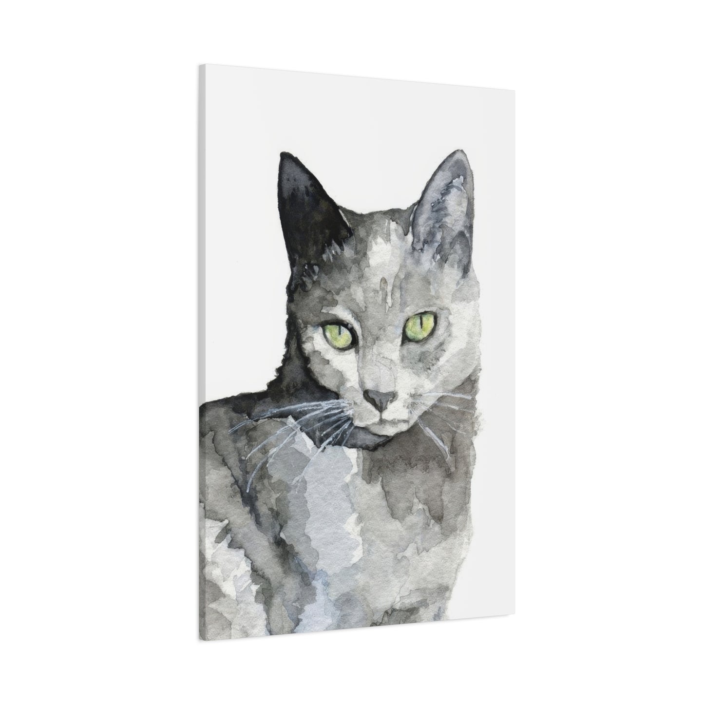 Cat Grey Wall Art & Canvas Prints