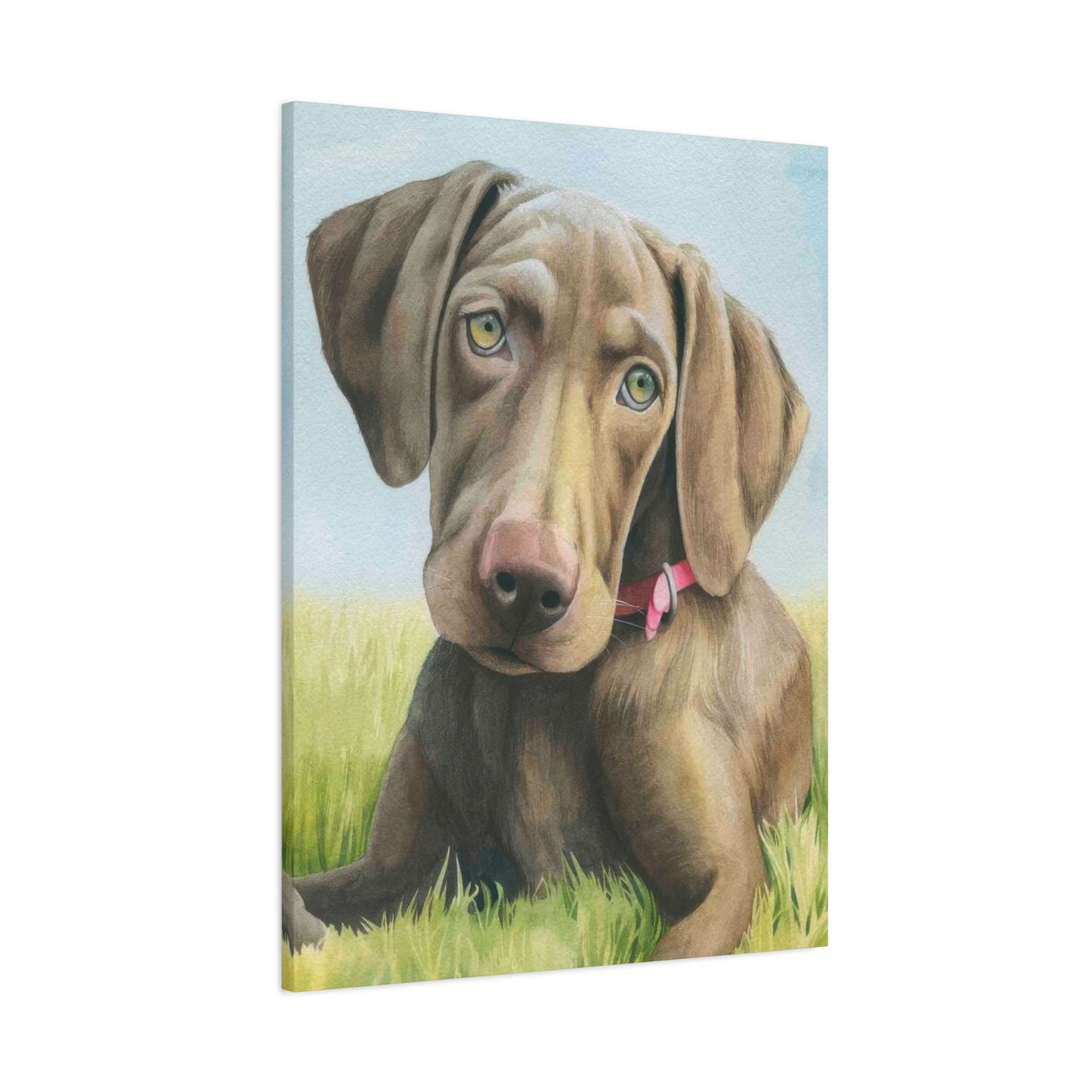 Grace Popp The Dog Wall Art & Canvas Prints