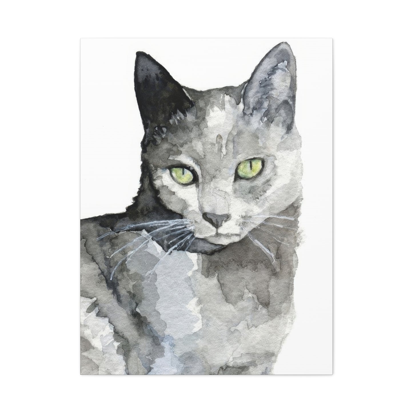 Cat Grey Wall Art & Canvas Prints