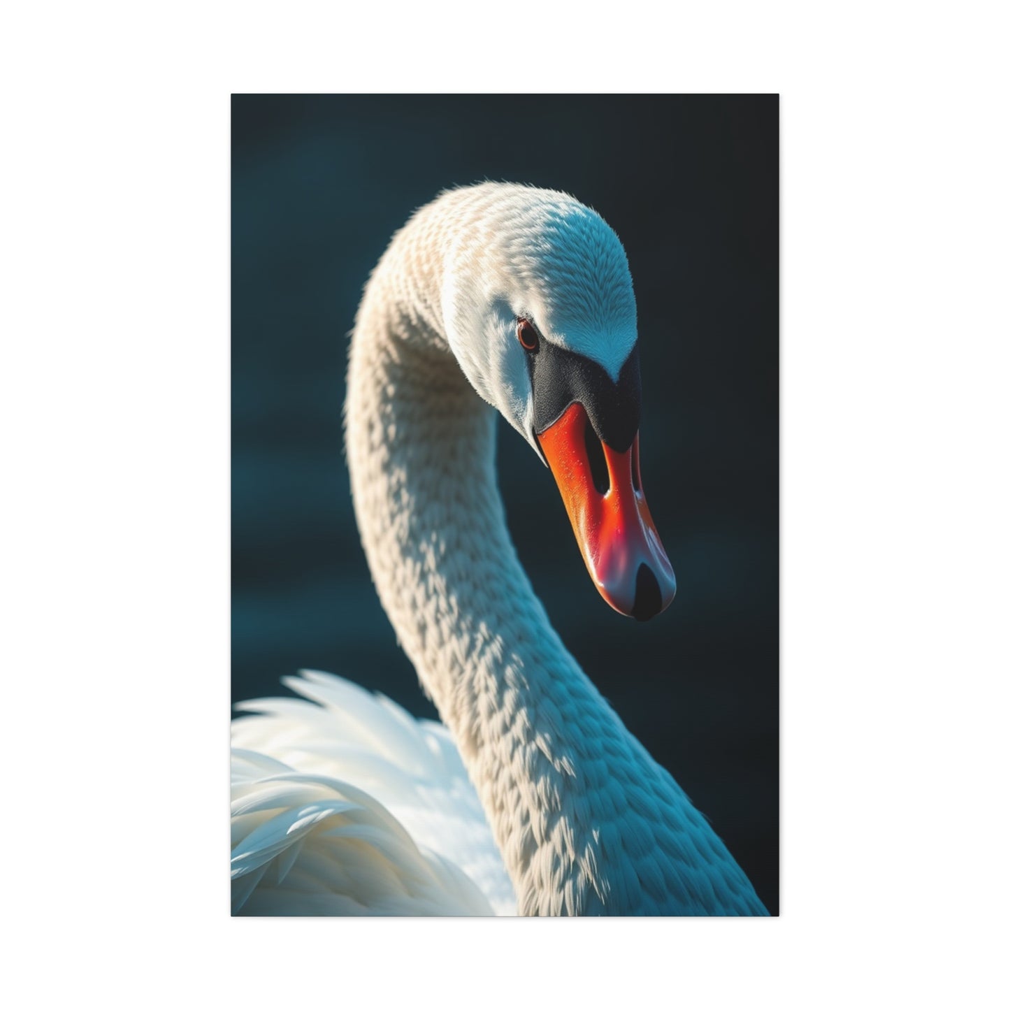 Swan Art Canvas Art 8 Wall Art & Canvas Print