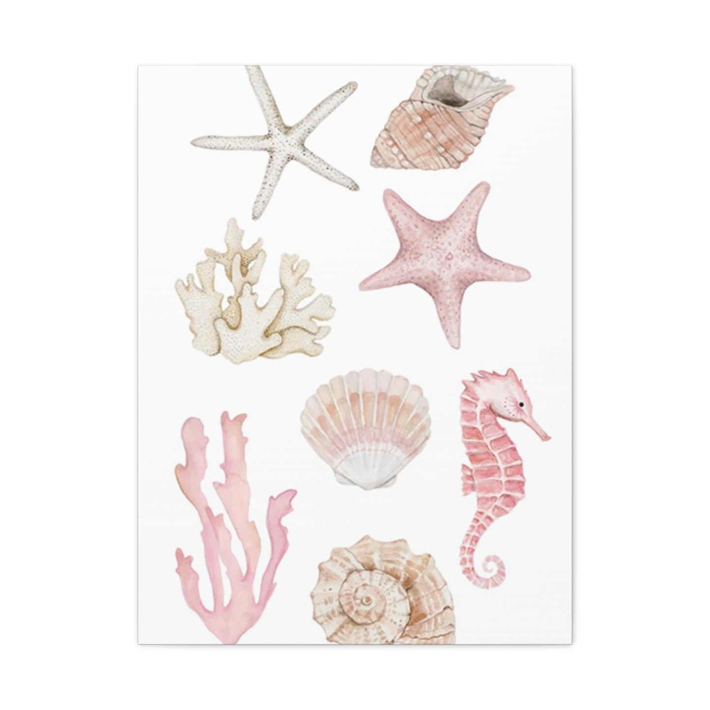 Beautiful Pink Shell Shape Poster Wall Art & Canvas Prints
