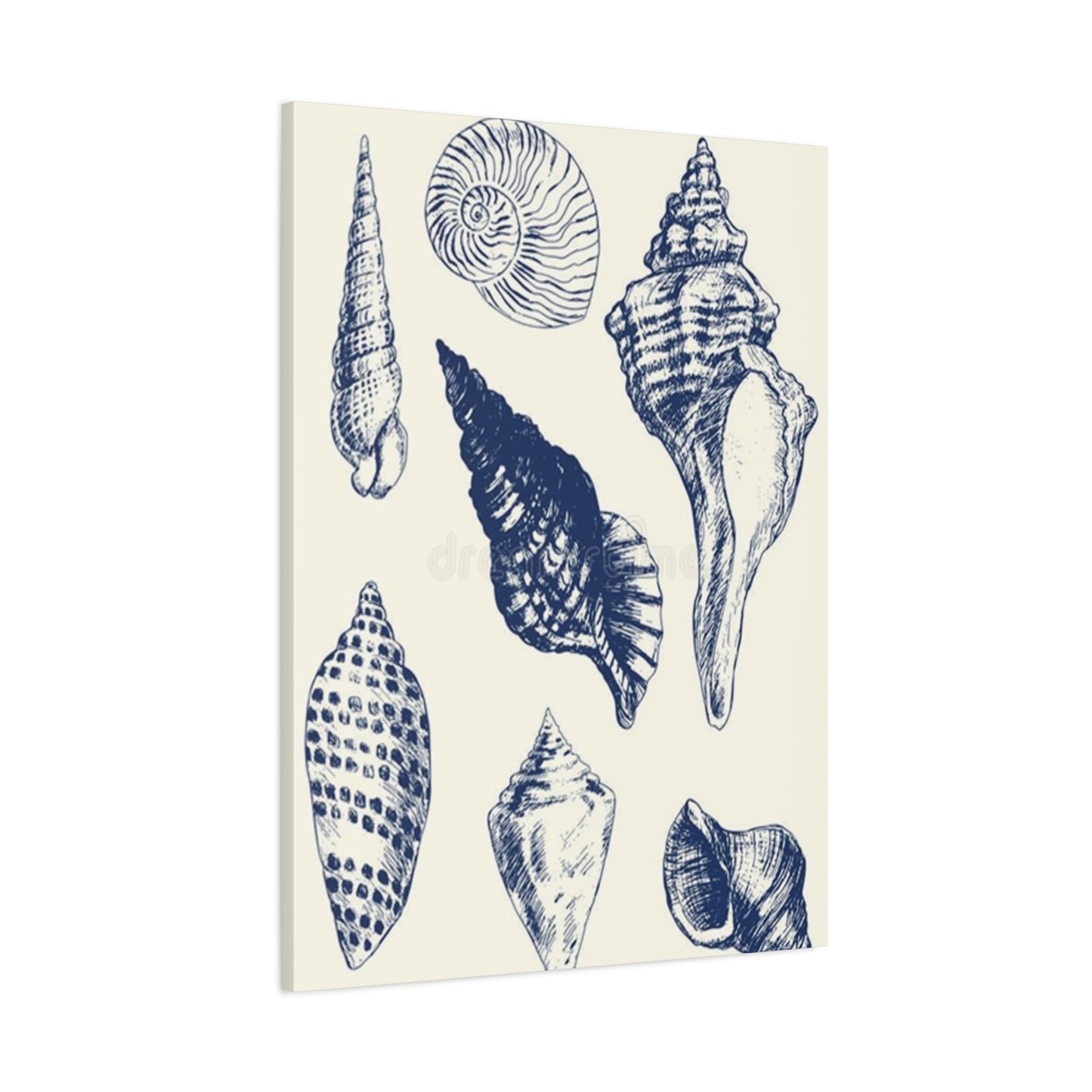 Blue Different Shell Shapes Drawing Wall Art & Canvas Prints