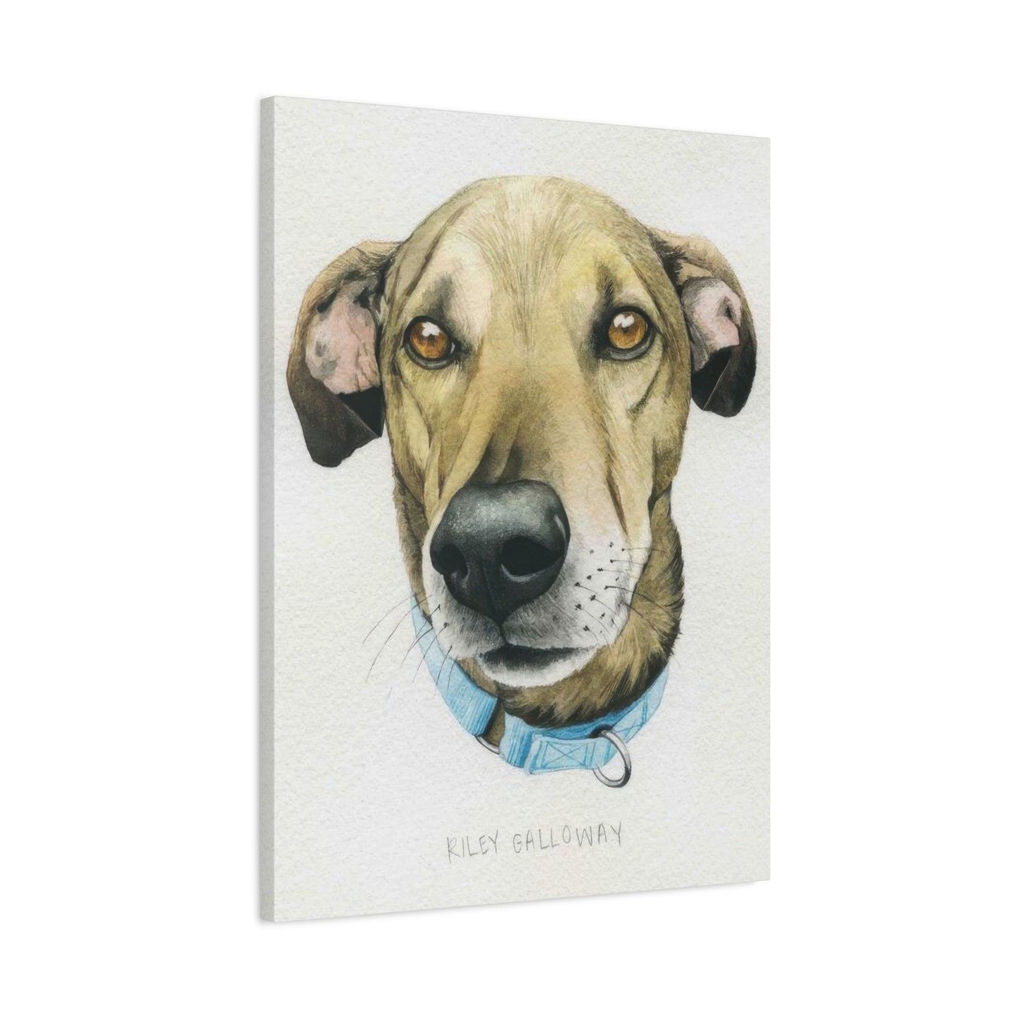 Grace Popp Wag The Dog Wall Art & Canvas Prints