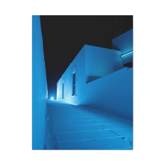 Blue and White Art Luxury Canvas Wall Art & Canvas Print