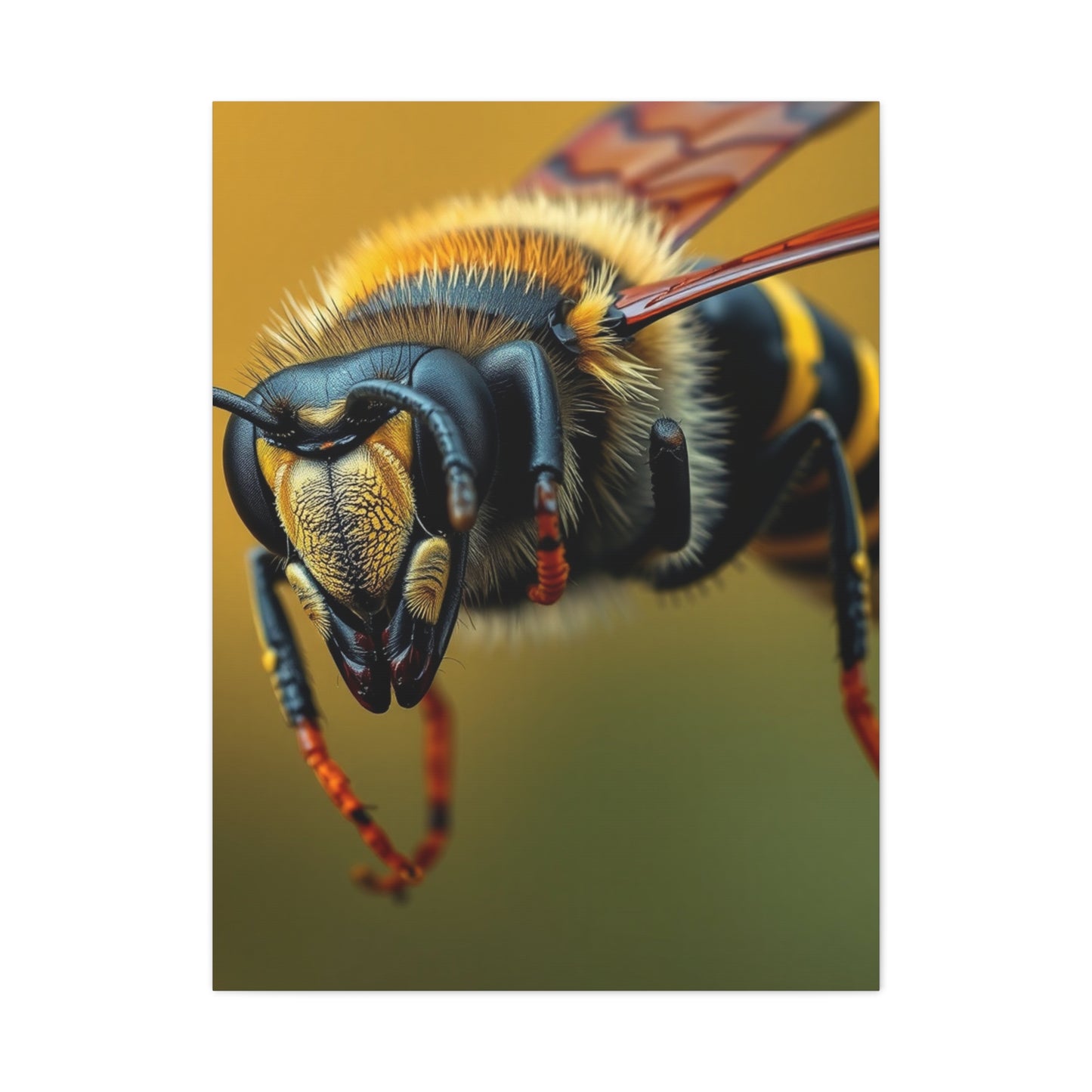 Bees, Hornet & Wasps Art Canvas Art 1 Wall Art & Canvas Print