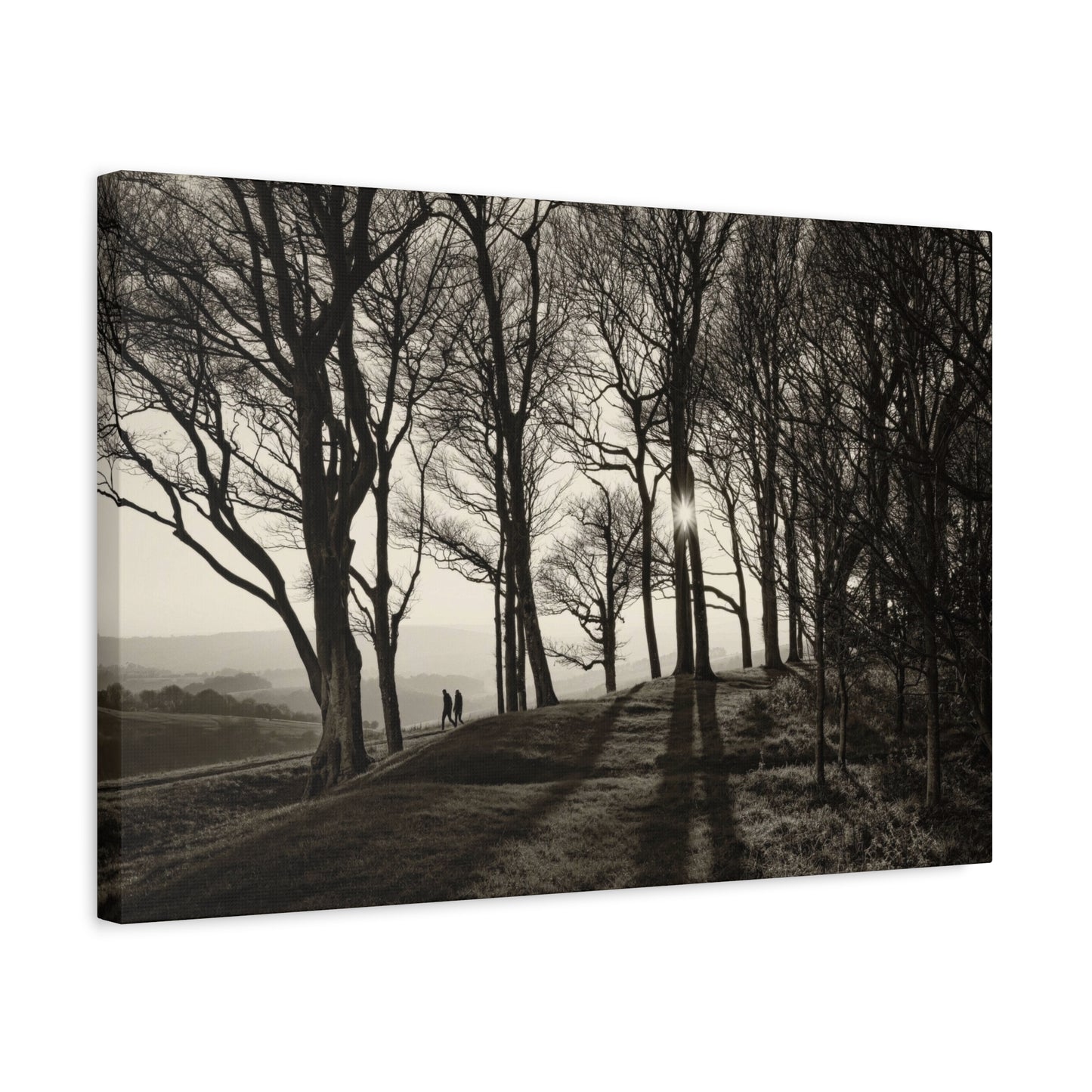 Forest Path at Dawn Wall Art & Canvas Prints
