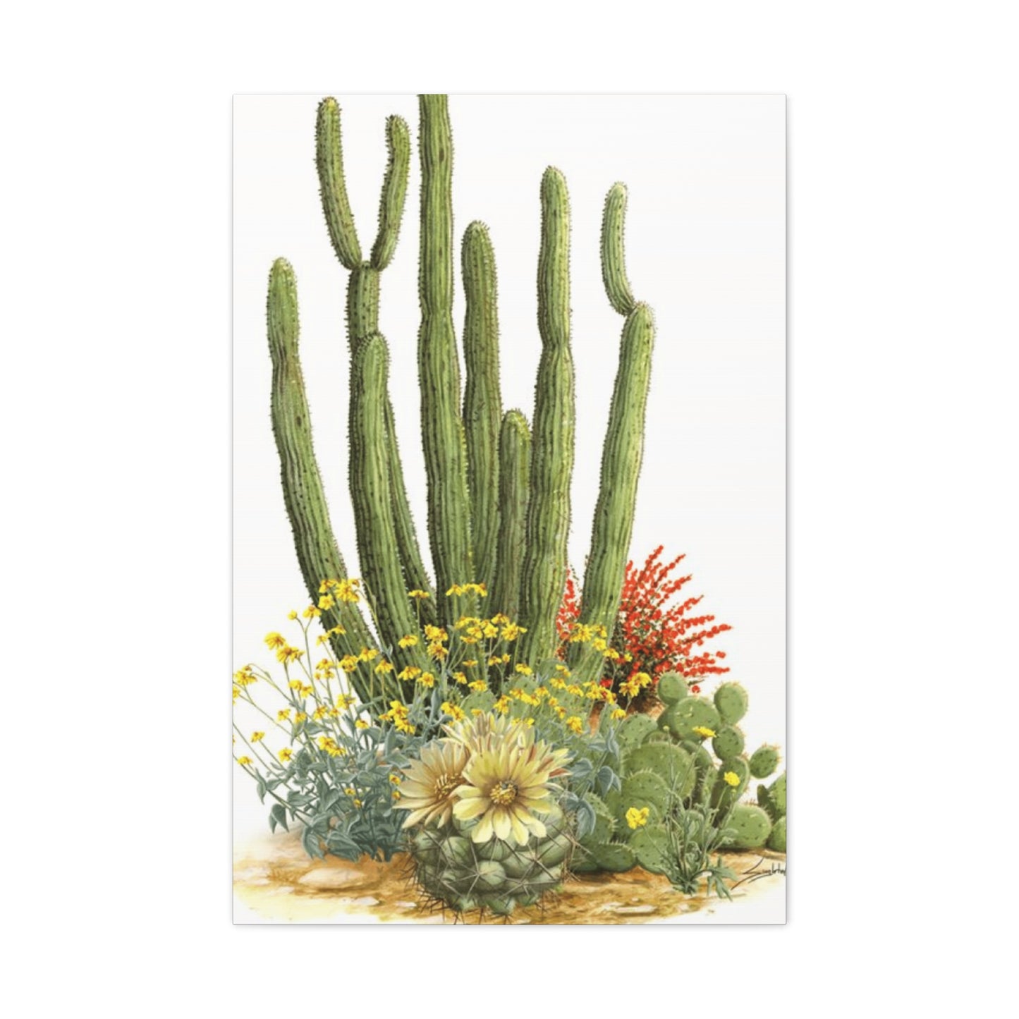 Cacti and Flowers Wall Art & Canvas Prints