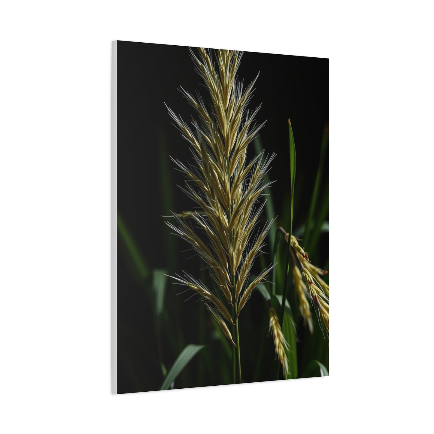 Sophisticated Leafy Display Wall Art & Canvas Print