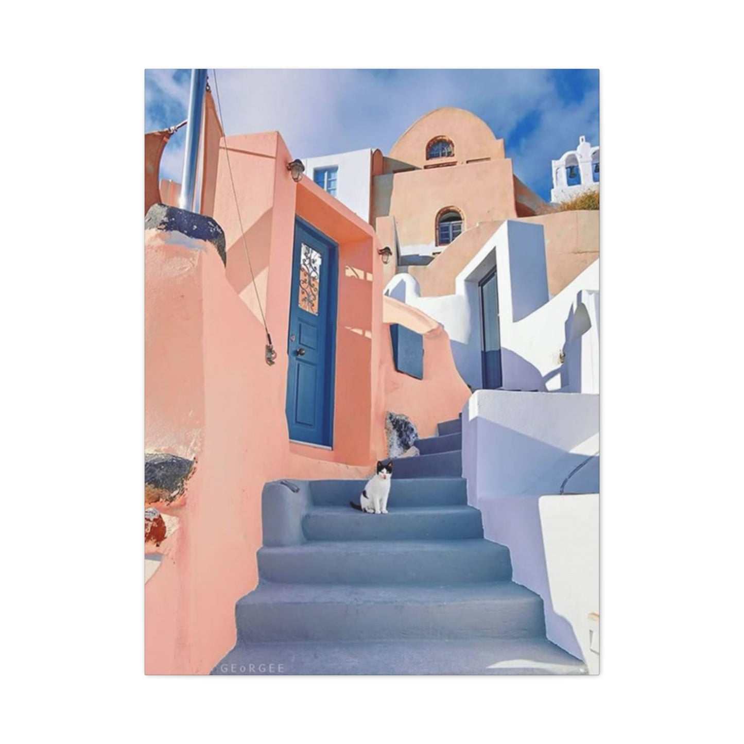 Cat On Street Of Spain Wall Art & Canvas Prints