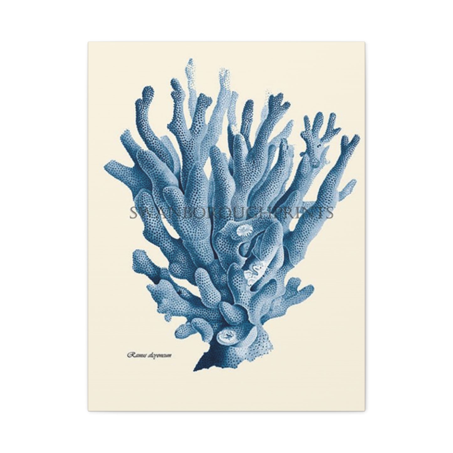 Beautiful Blue Shell Stem Poster Wall Art & Canvas Prints