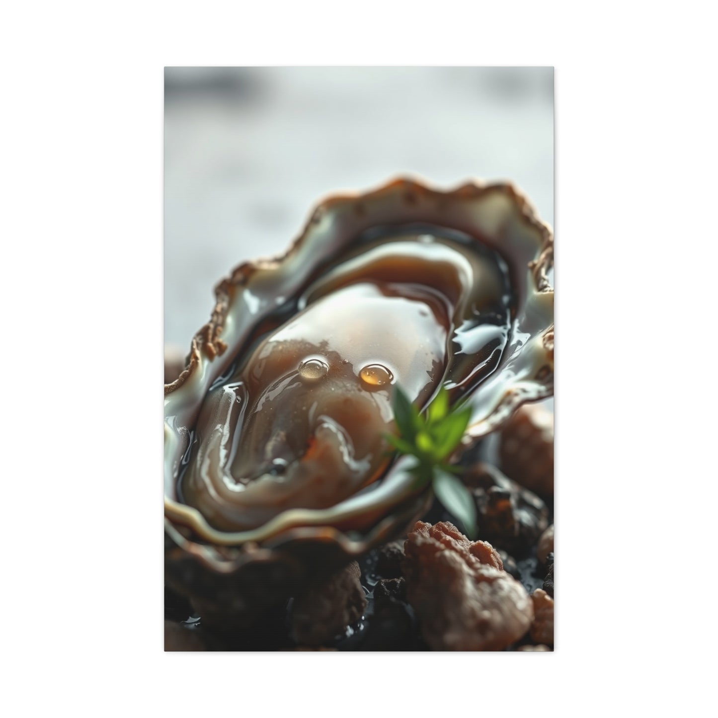 Oyster Art Canvas Art 1 Wall Art & Canvas Print