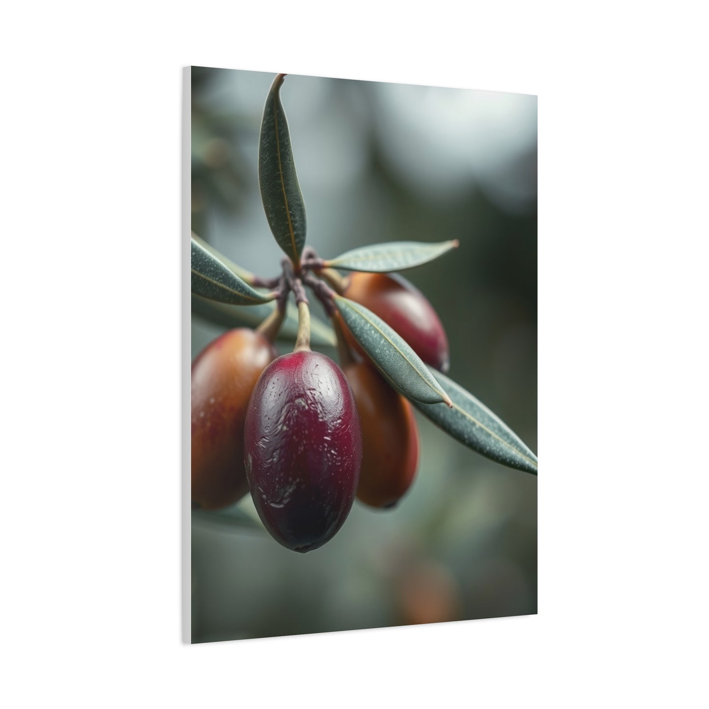 Olive Tranquility Tableau Wall Art & Canvas Print