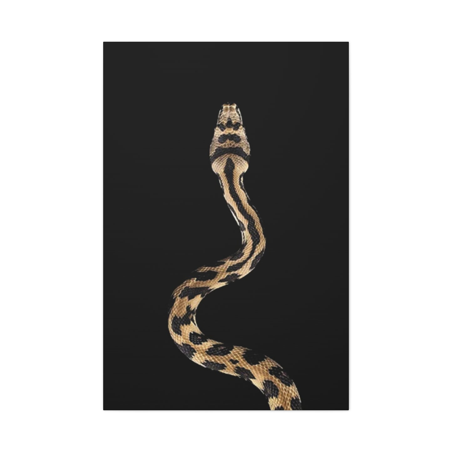 Snake On Poster Wall Art & Canvas Prints