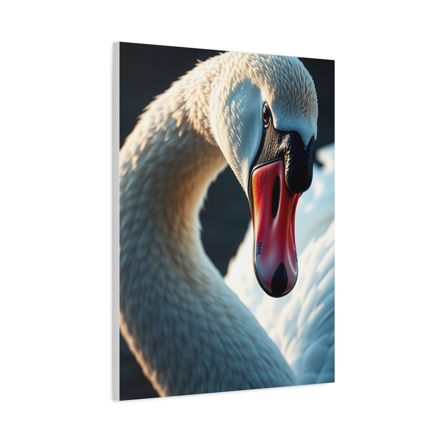 Swan Art Canvas Art 3 Wall Art & Canvas Print