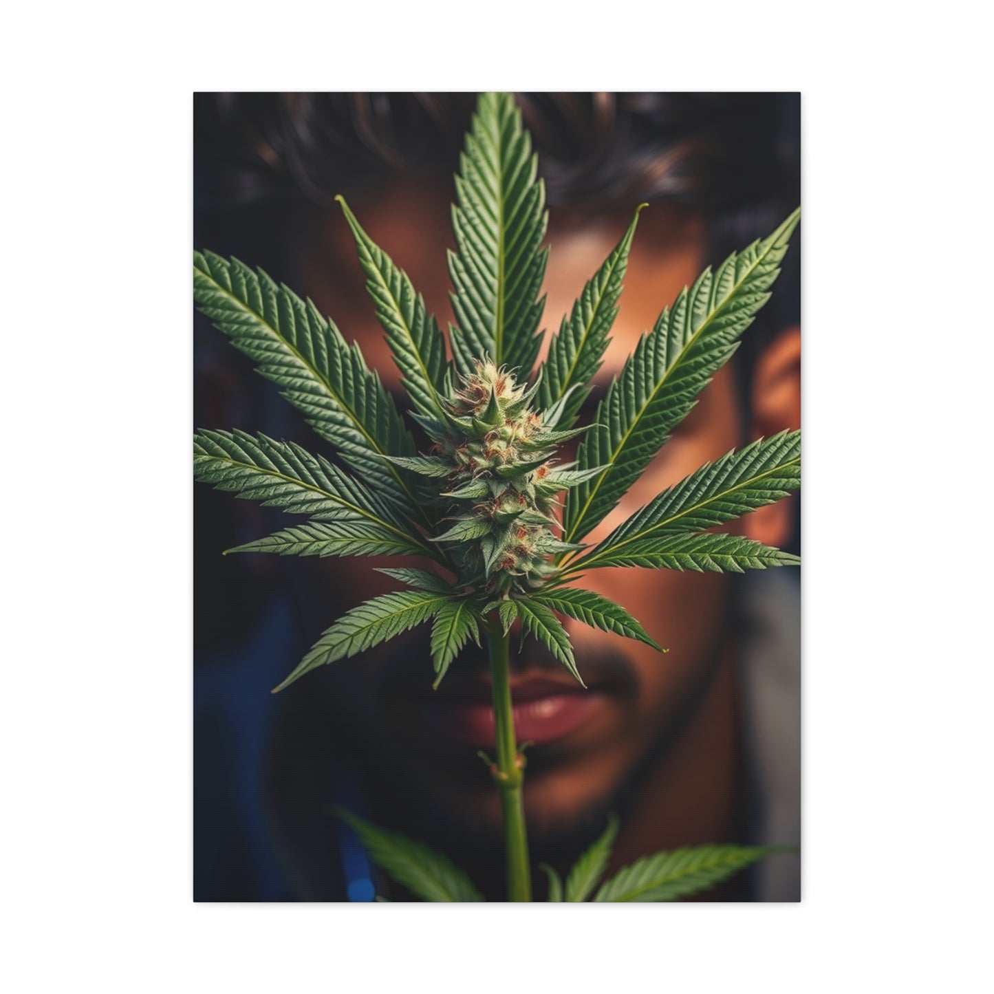 Marijuana Art Premium Canvas 19 Wall Art & Canvas Print
