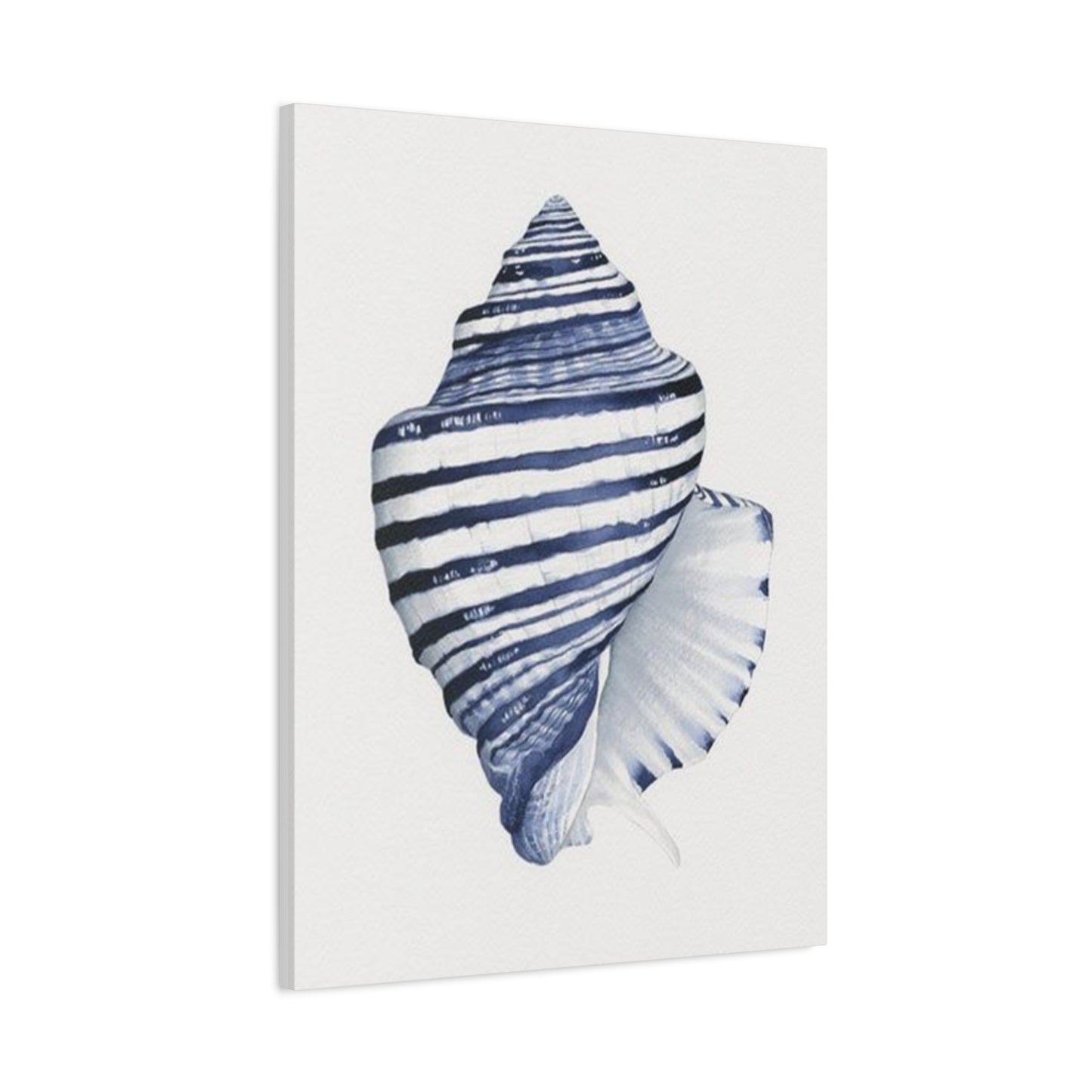 Blue & White Shell Drawing Wall Art & Canvas Prints