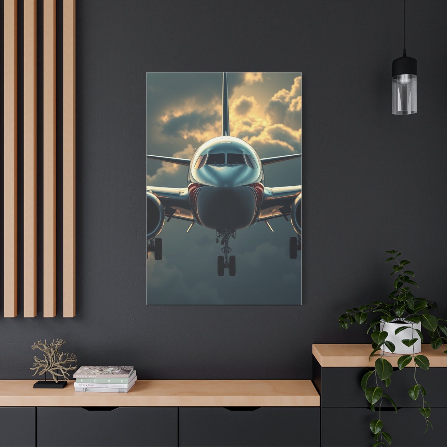 Supreme Airplane Art Beautiful Collection Wall Art & Canvas Print