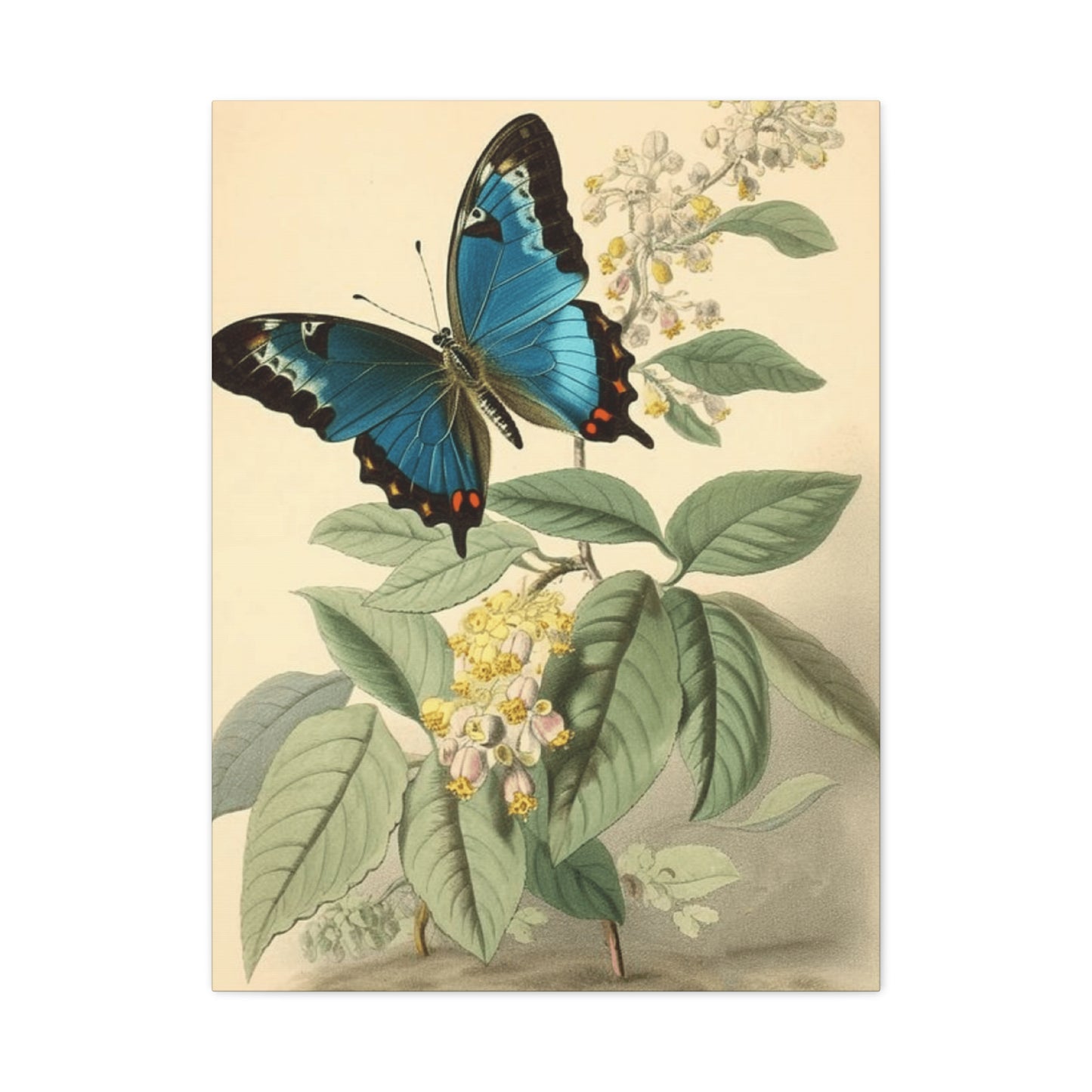 Butterfly on Brown Background Wall Art & Canvas Prints