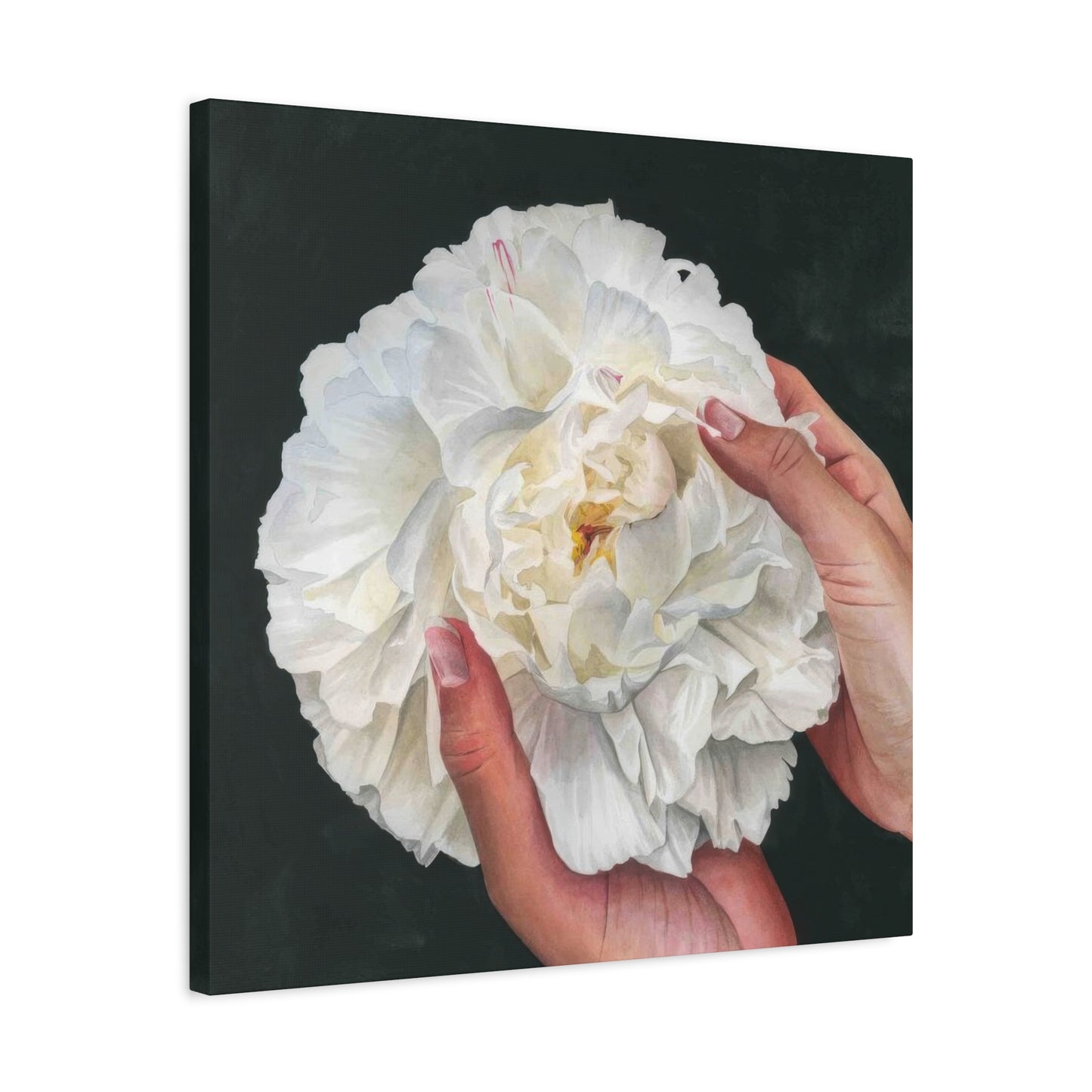 Grace Popp Holding White Flower Wall Art & Canvas Prints