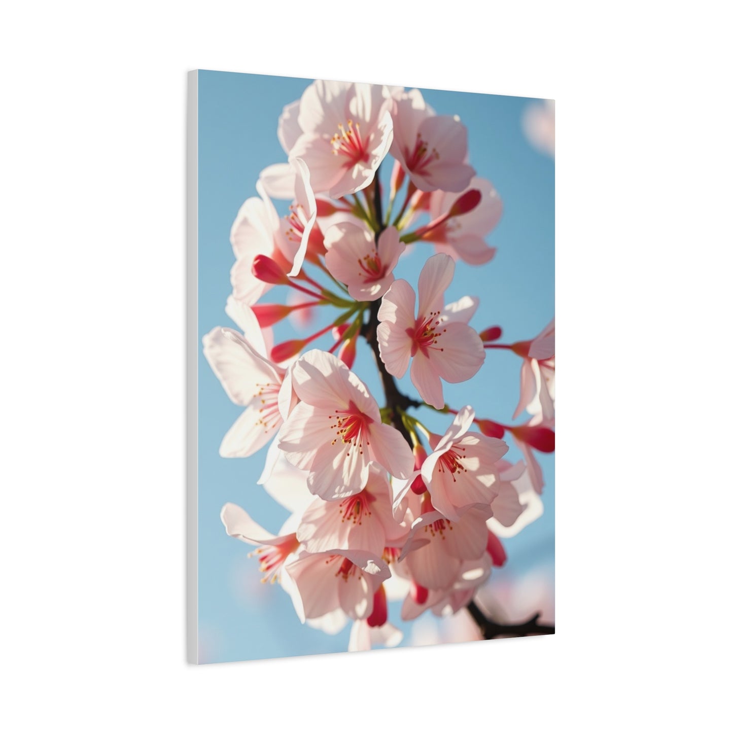 Sakura Elegance Canvas Wall Art & Canvas Print