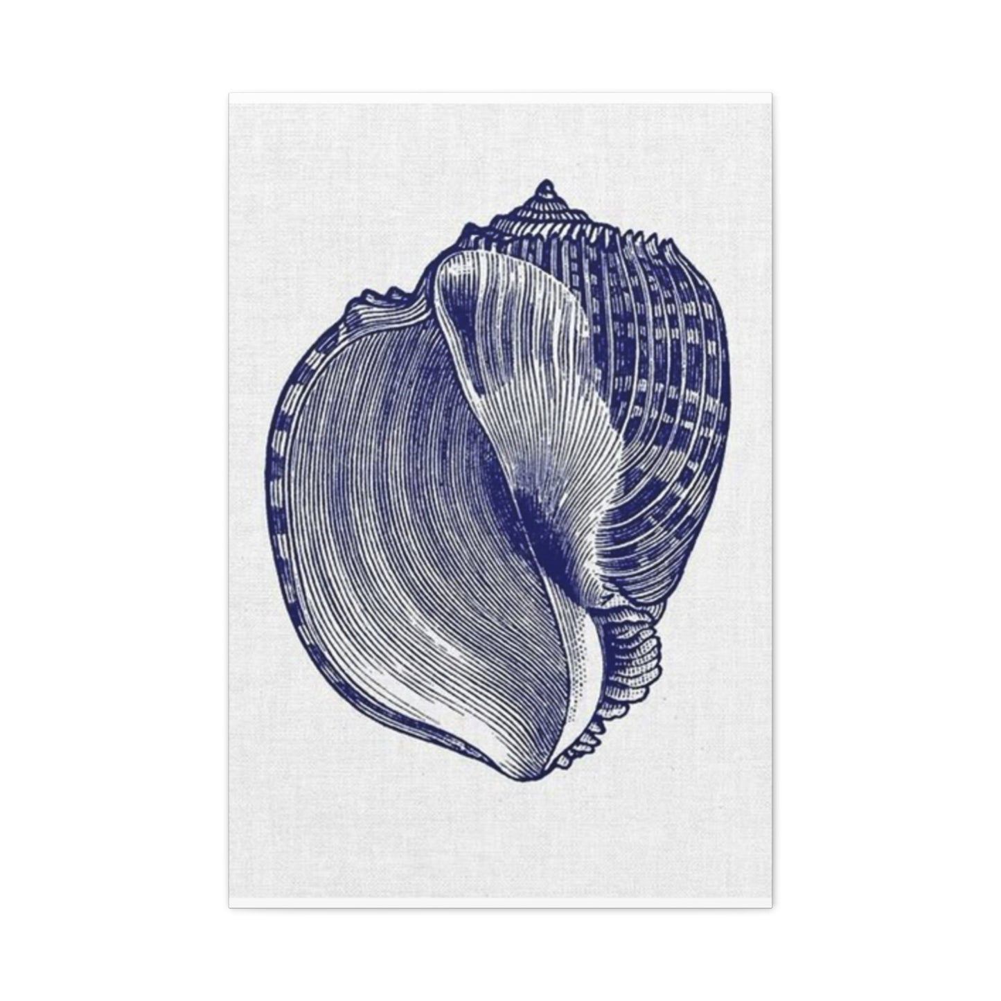 Beautiful Blue Shell Shape Drawing Wall Art & Canvas Prints